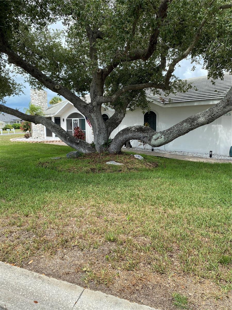 355 EDEN DR — photo 3