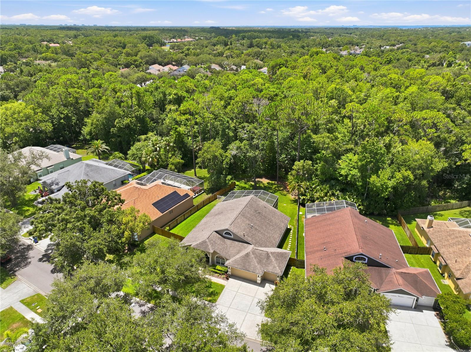 10522 CHAMBERS DR — photo 49