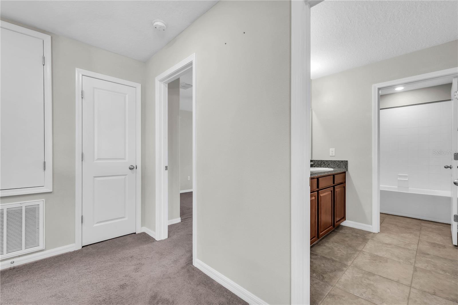 1739 BROAD WINGED HAWK DR — photo 58