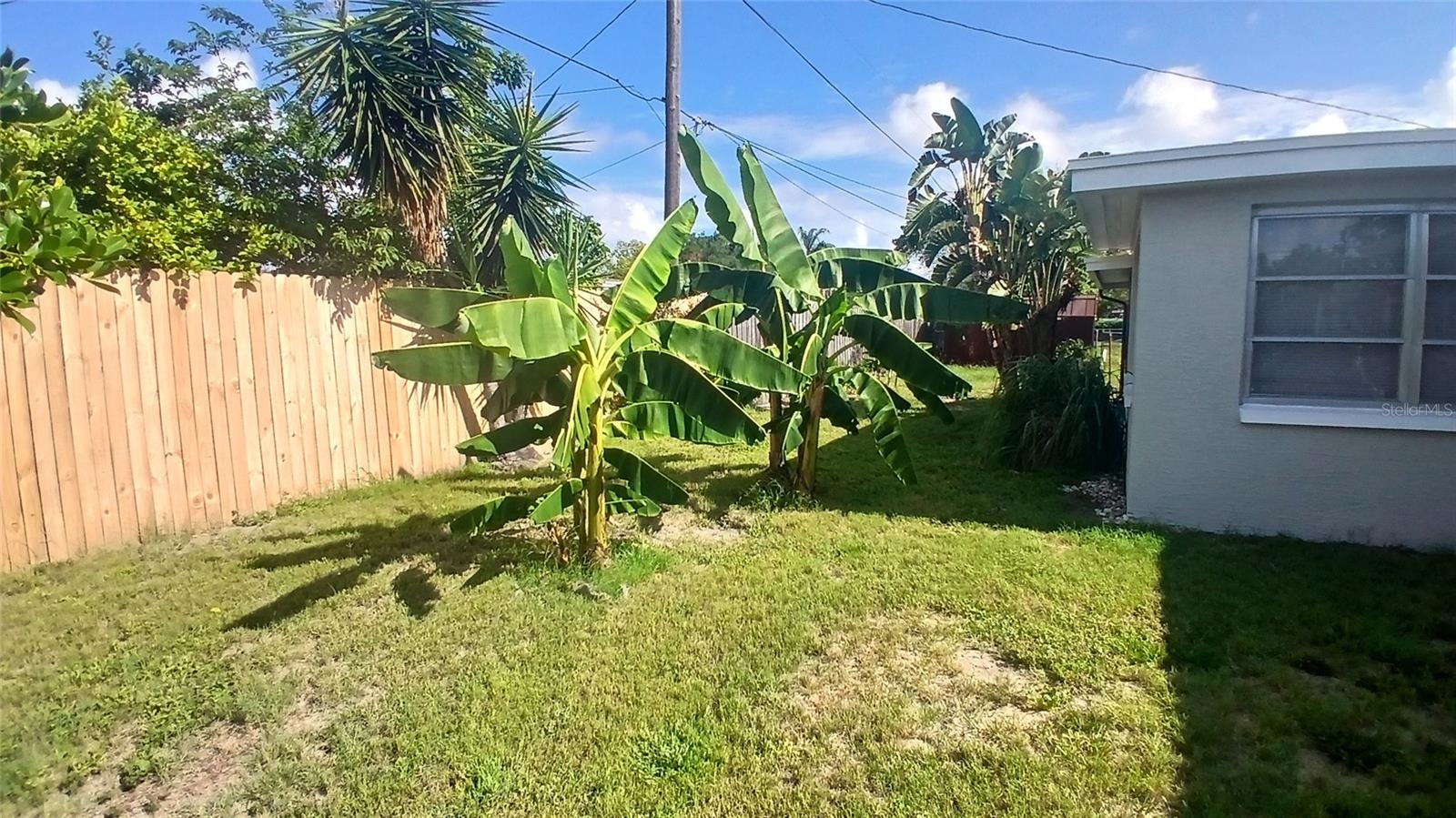 2109 SHANNON DR — photo 24