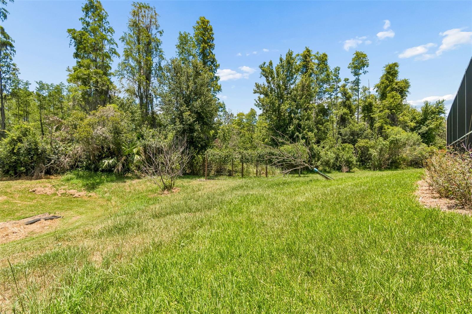 10746 CORY LAKE DR — photo 60