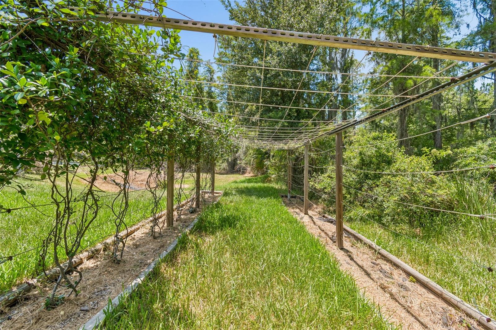 10746 CORY LAKE DR — photo 59