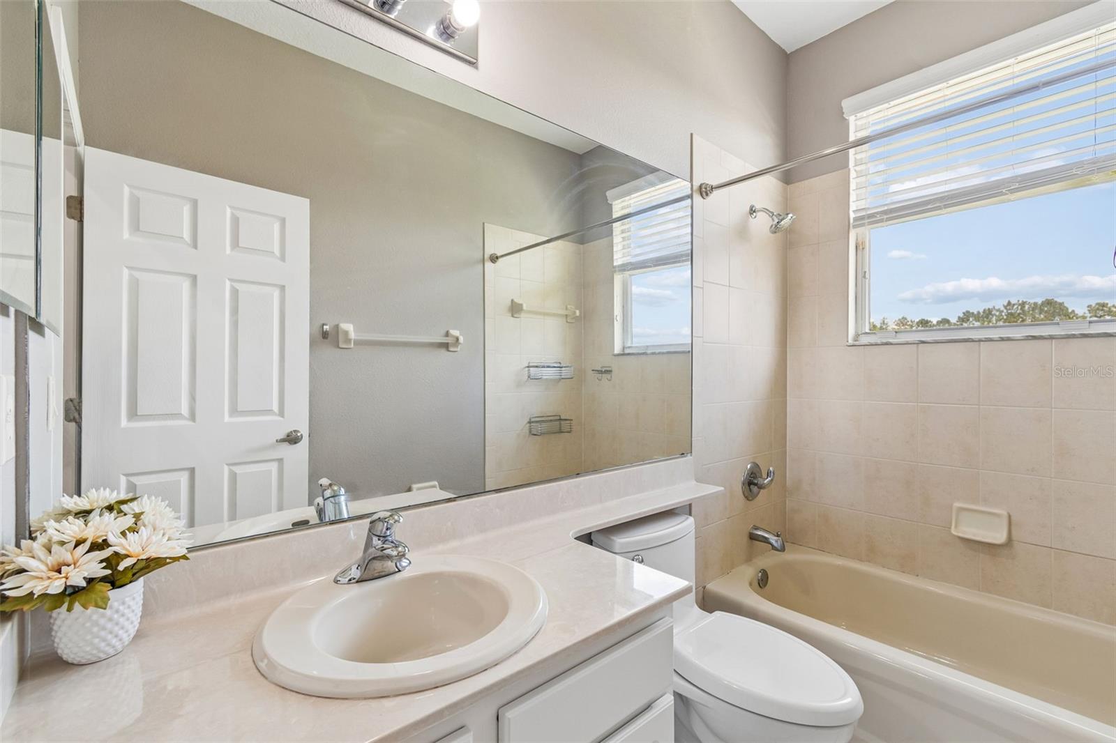 10746 CORY LAKE DR — photo 38