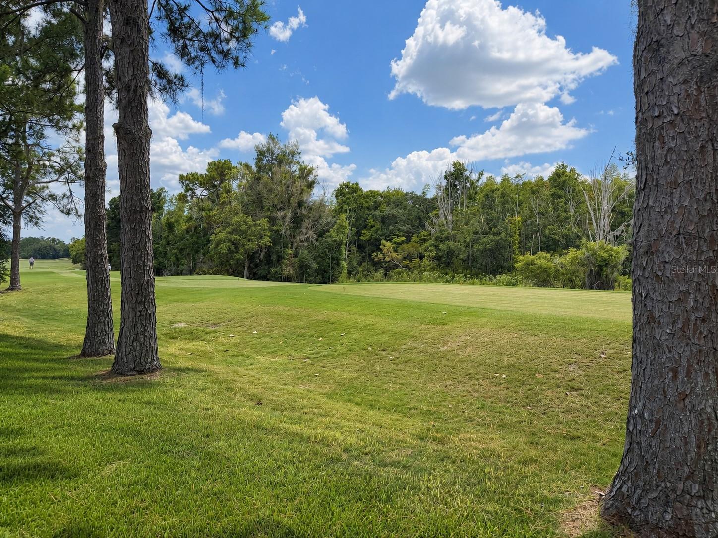 17422 HEATHER OAKS PL — photo 3