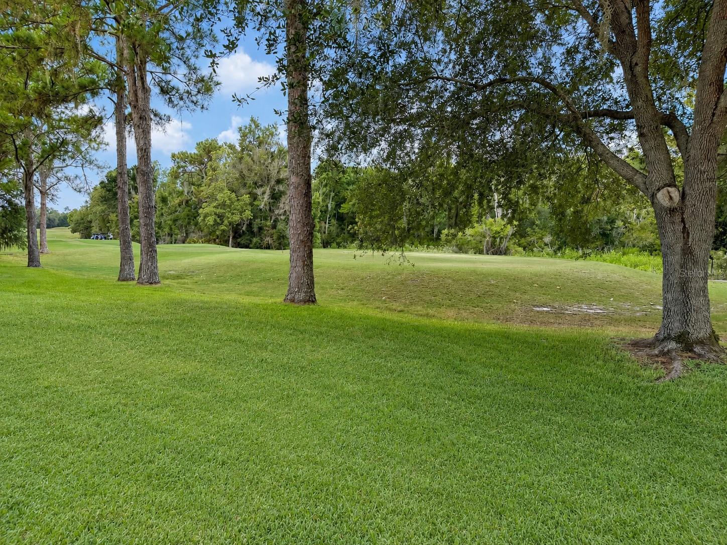 17422 HEATHER OAKS PL — photo 67