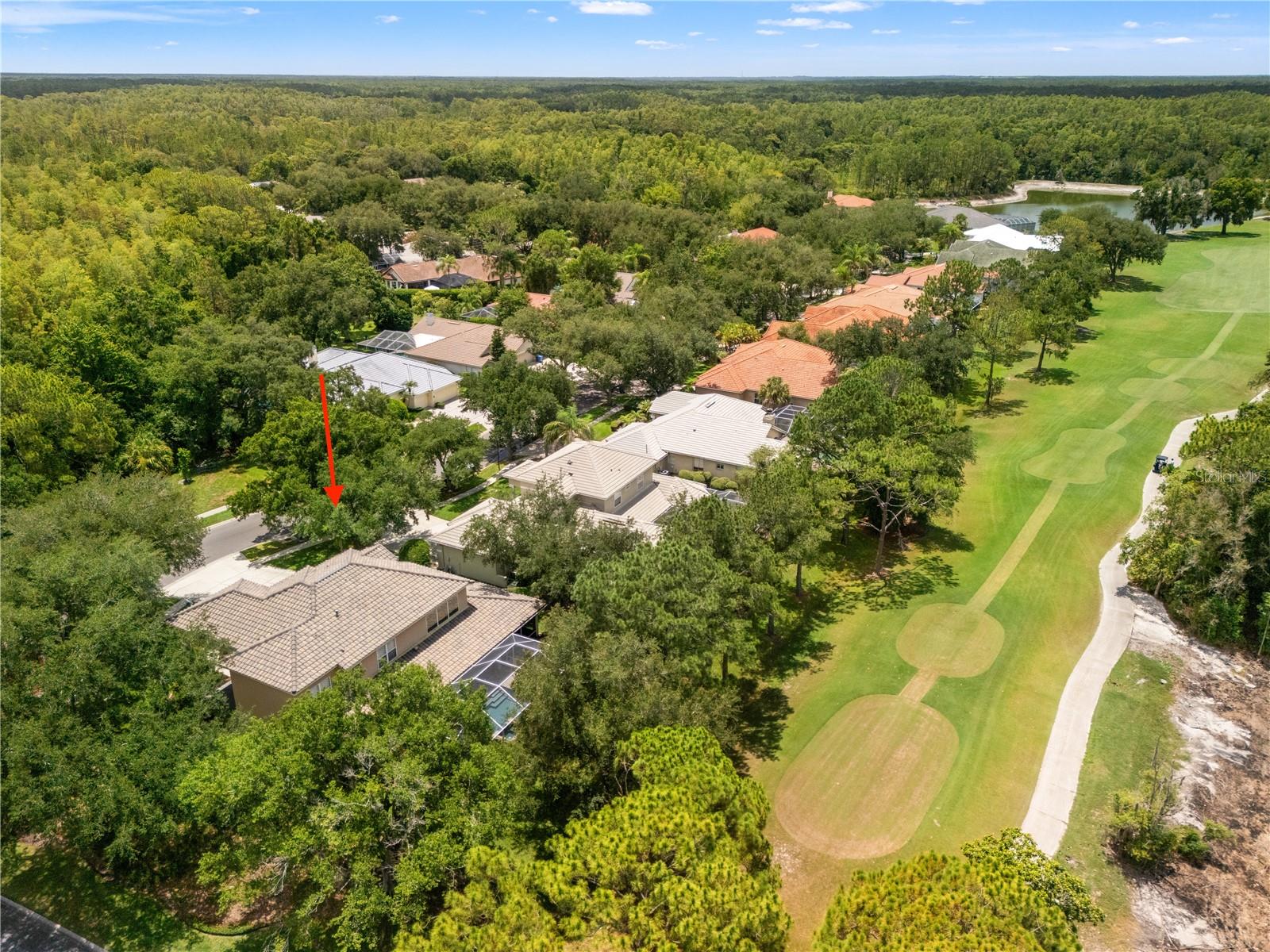 17422 HEATHER OAKS PL — photo 4