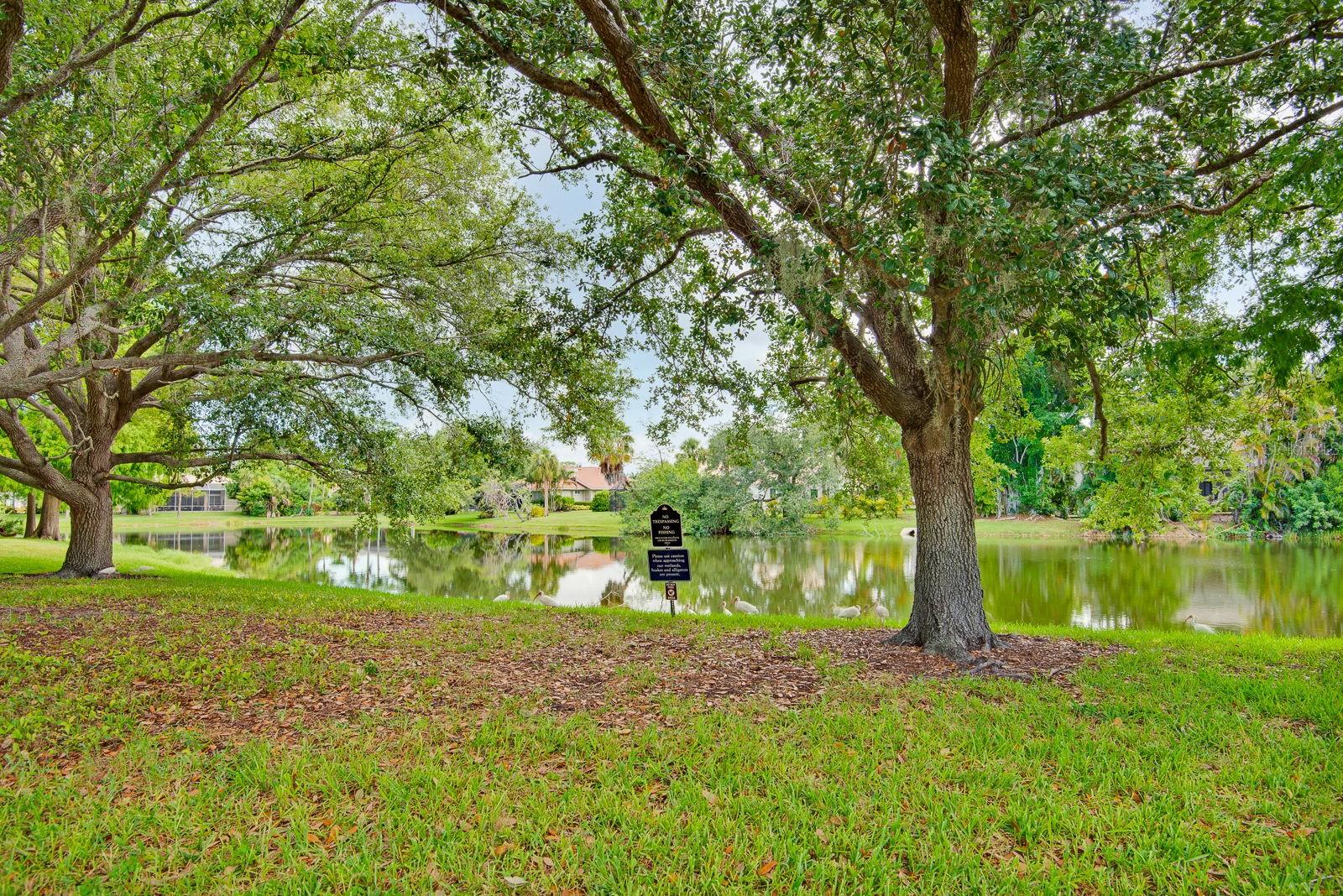 3731 SARASOTA SQUARE BLVD #205D — photo 50