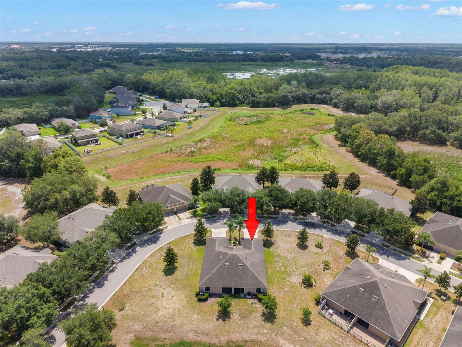 13627 CREST LAKE DR — photo 33