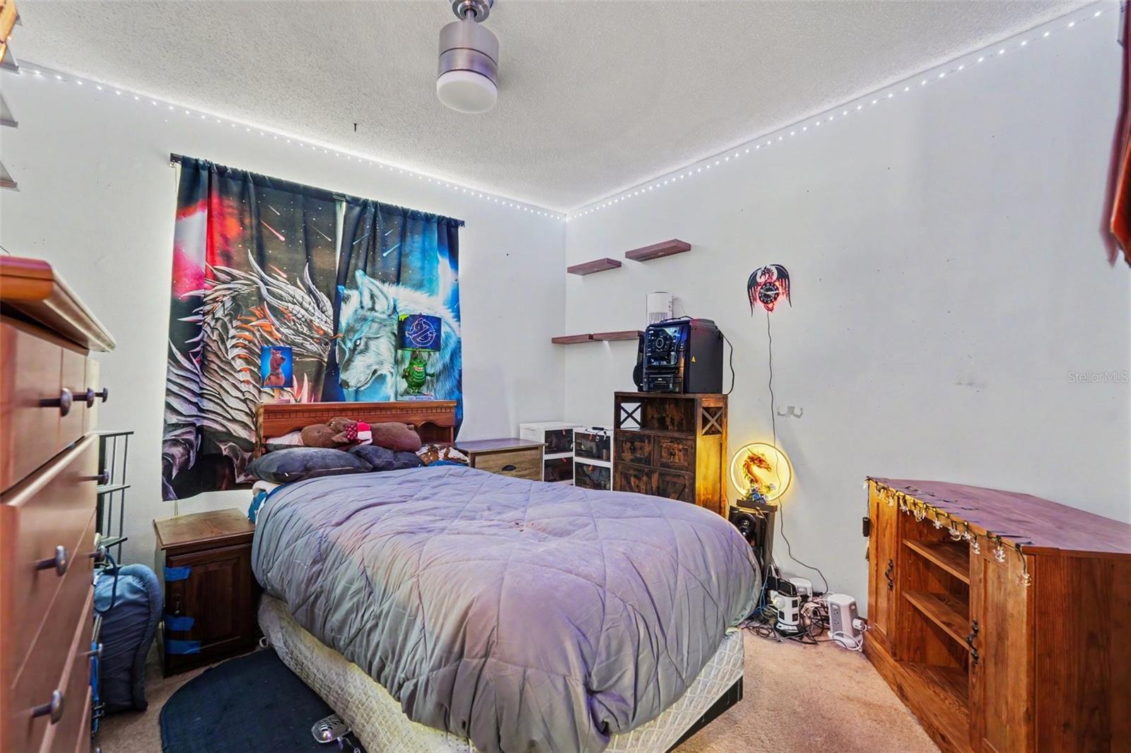 2815 LINDEN TREE ST — photo 21