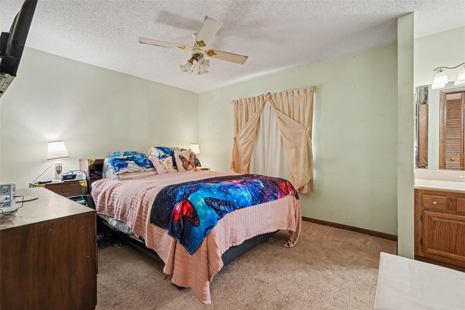 2815 LINDEN TREE ST — photo 16