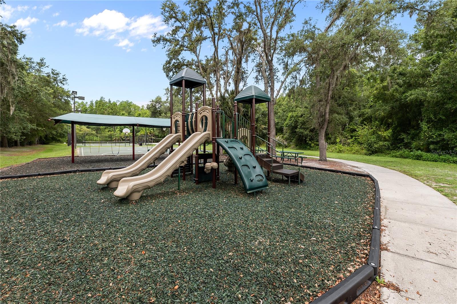 14834 MAN O WAR DR — photo 44