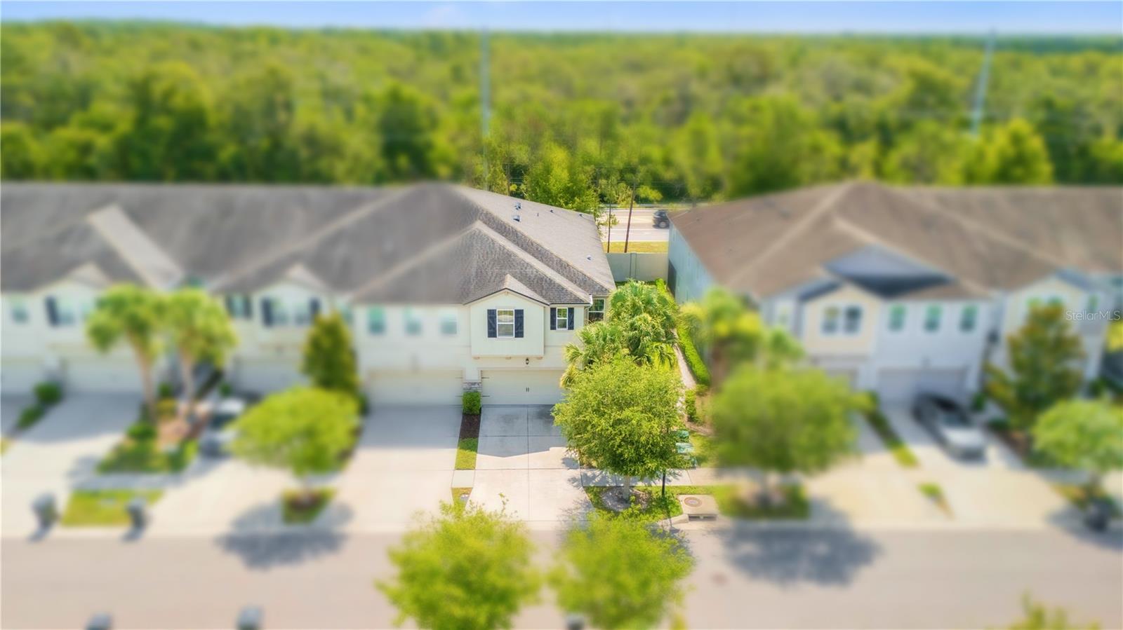 10316 HOLSTEIN EDGE PL — photo 3