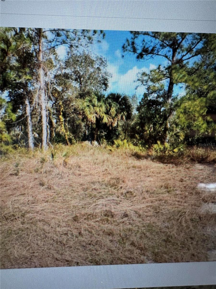 MATTOX CIR — photo 2