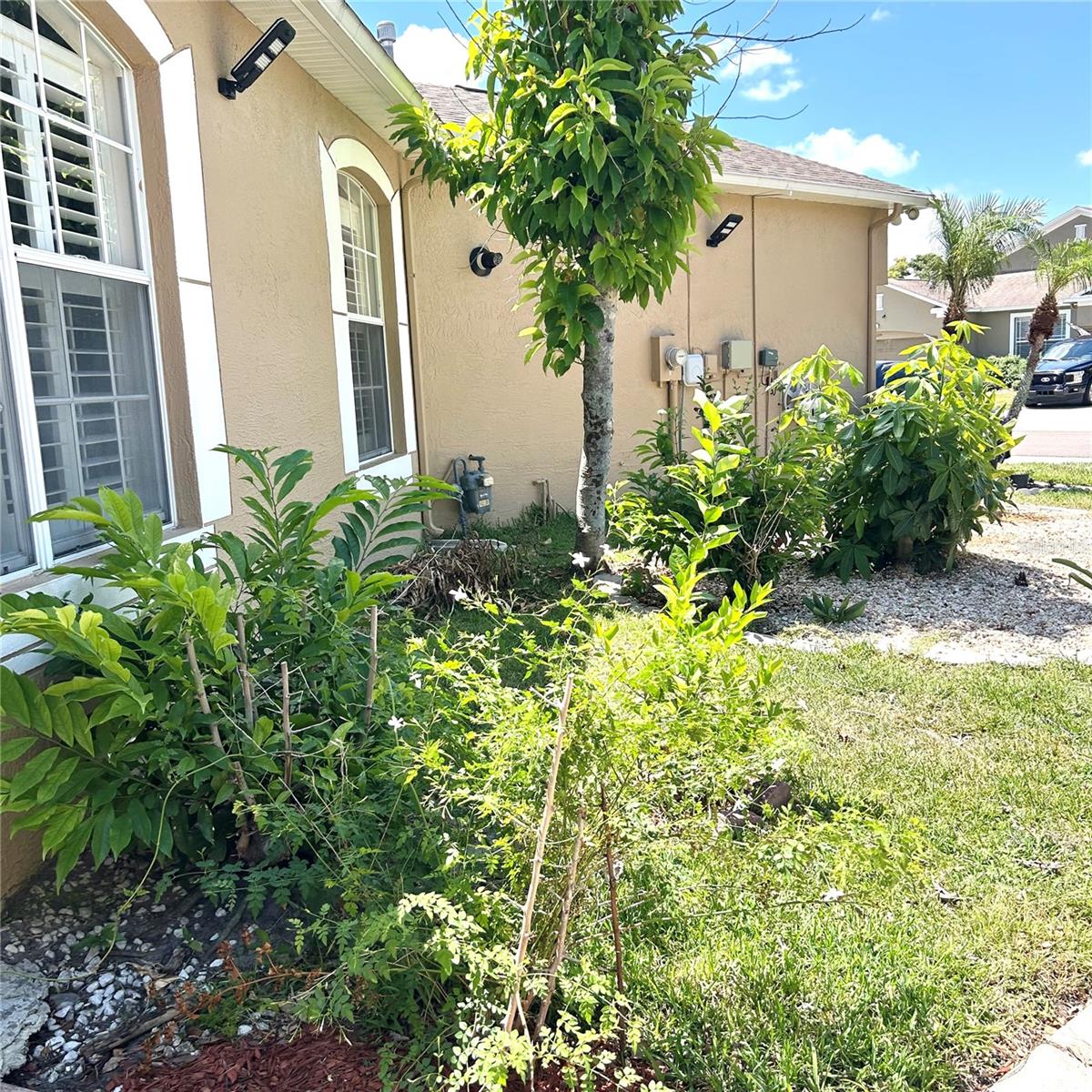 30236 LETTINGWELL CIR — photo 33