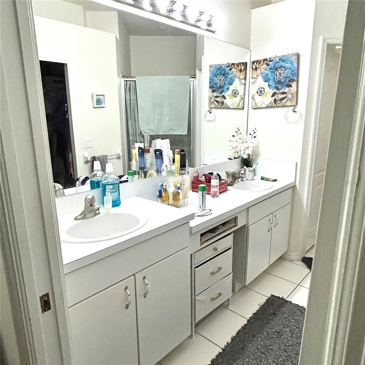 30236 LETTINGWELL CIR — photo 12
