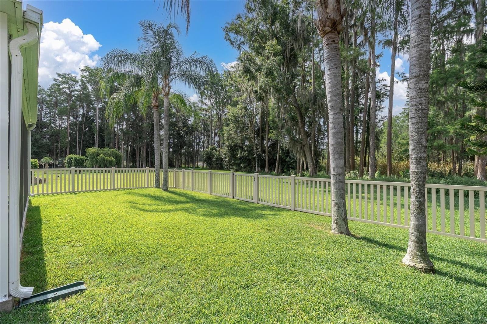 7832 BLUE SPRING DR — photo 33
