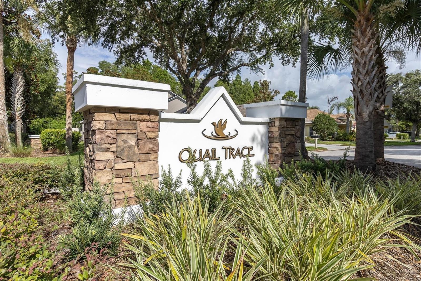 7832 BLUE SPRING DR — photo 41