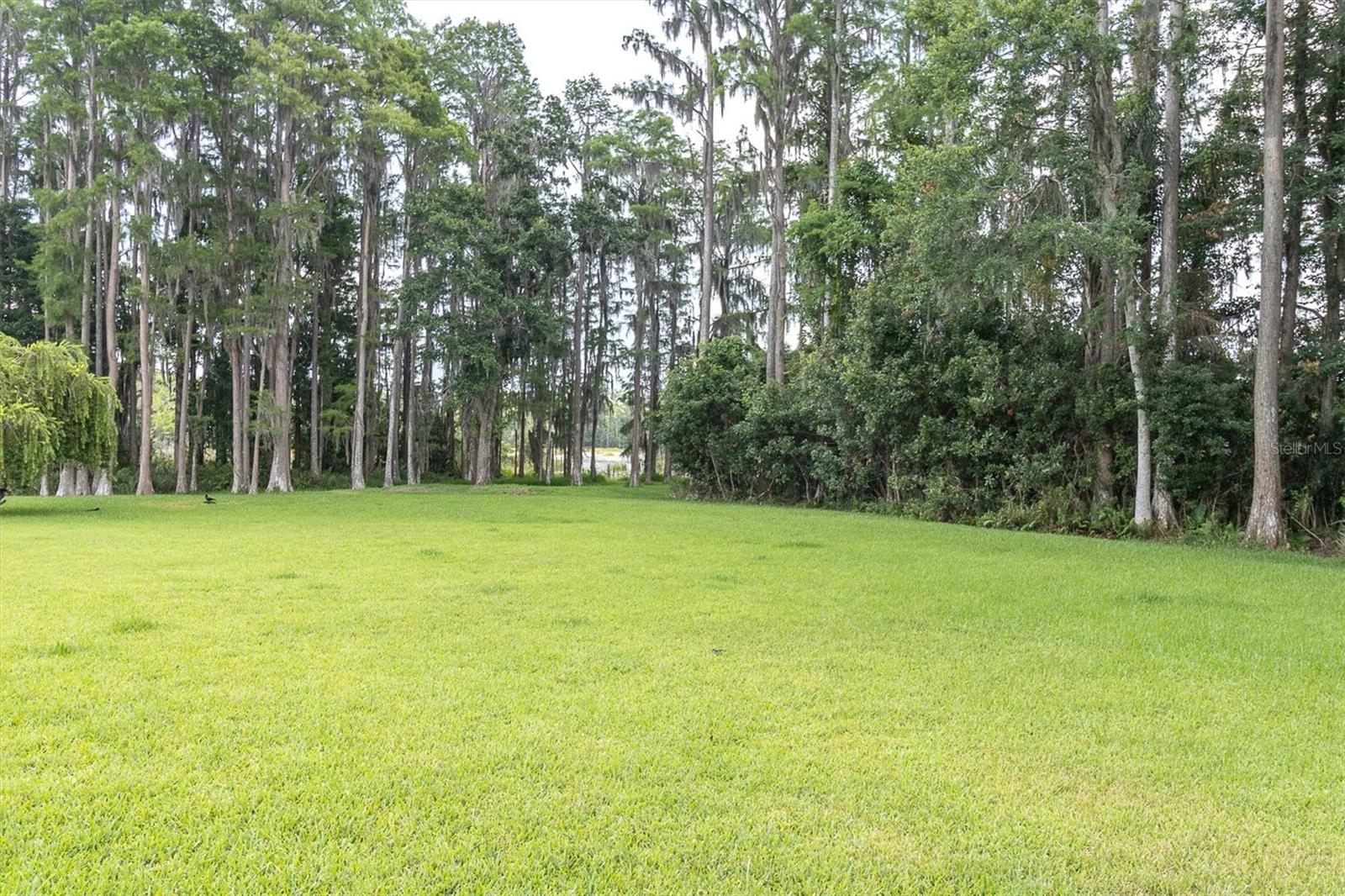 7832 BLUE SPRING DR — photo 39