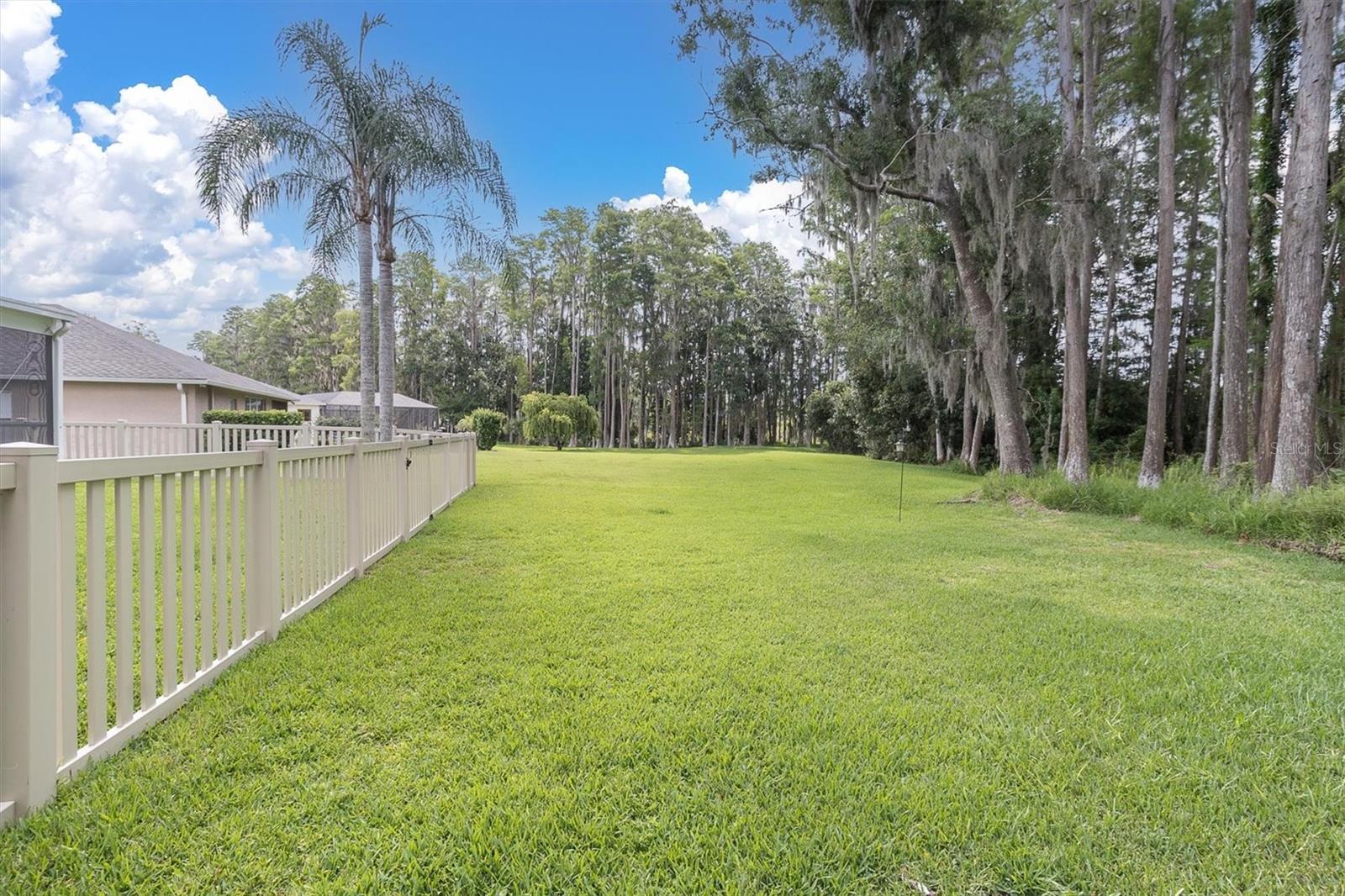 7832 BLUE SPRING DR — photo 37