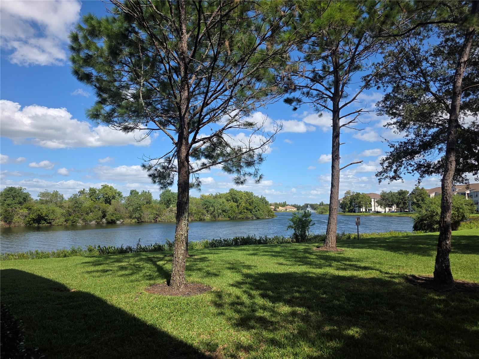 2401 LEXINGTON OAK DR — photo 15