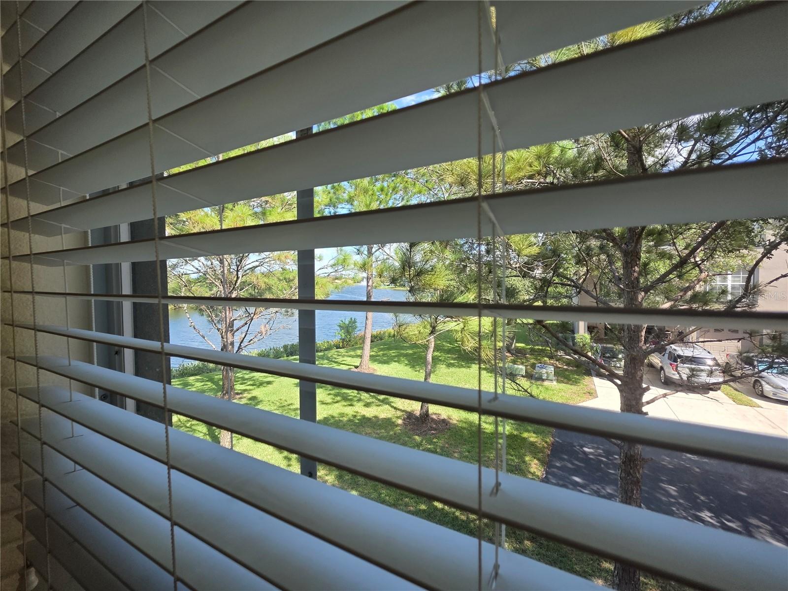 2401 LEXINGTON OAK DR — photo 20