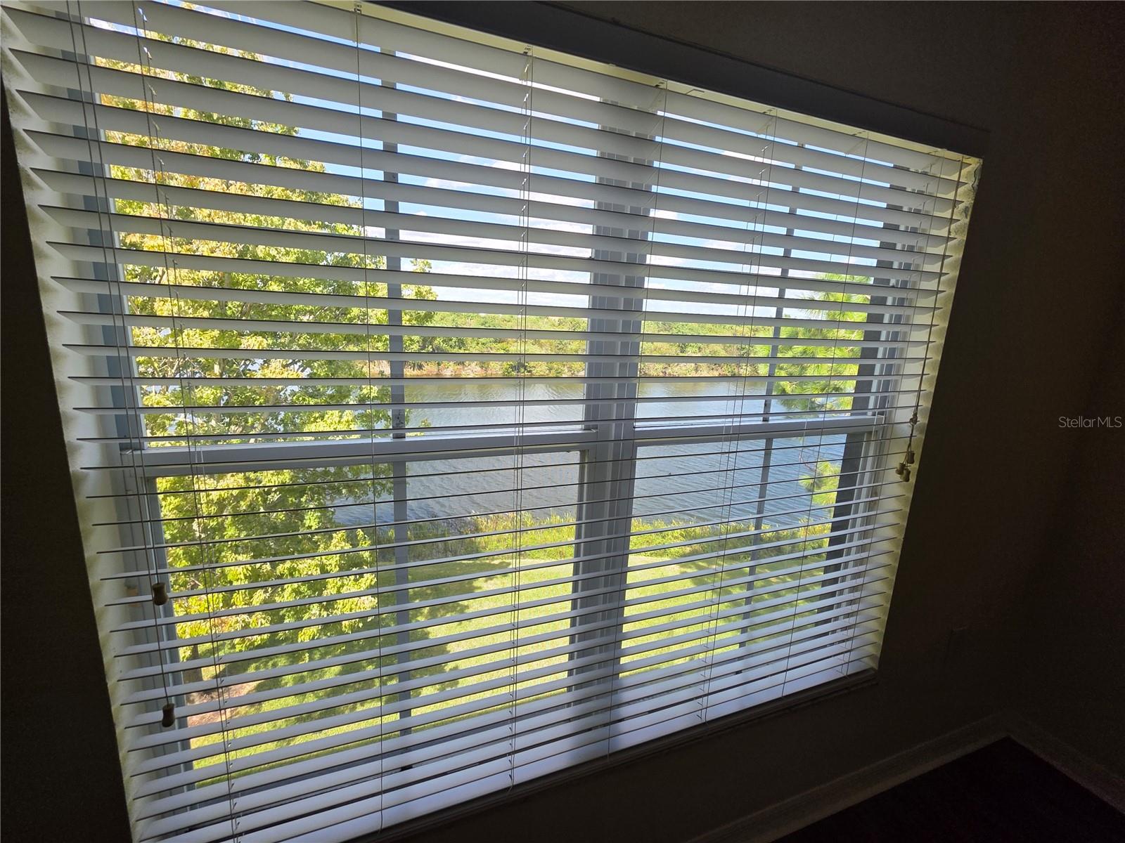 2401 LEXINGTON OAK DR — photo 24