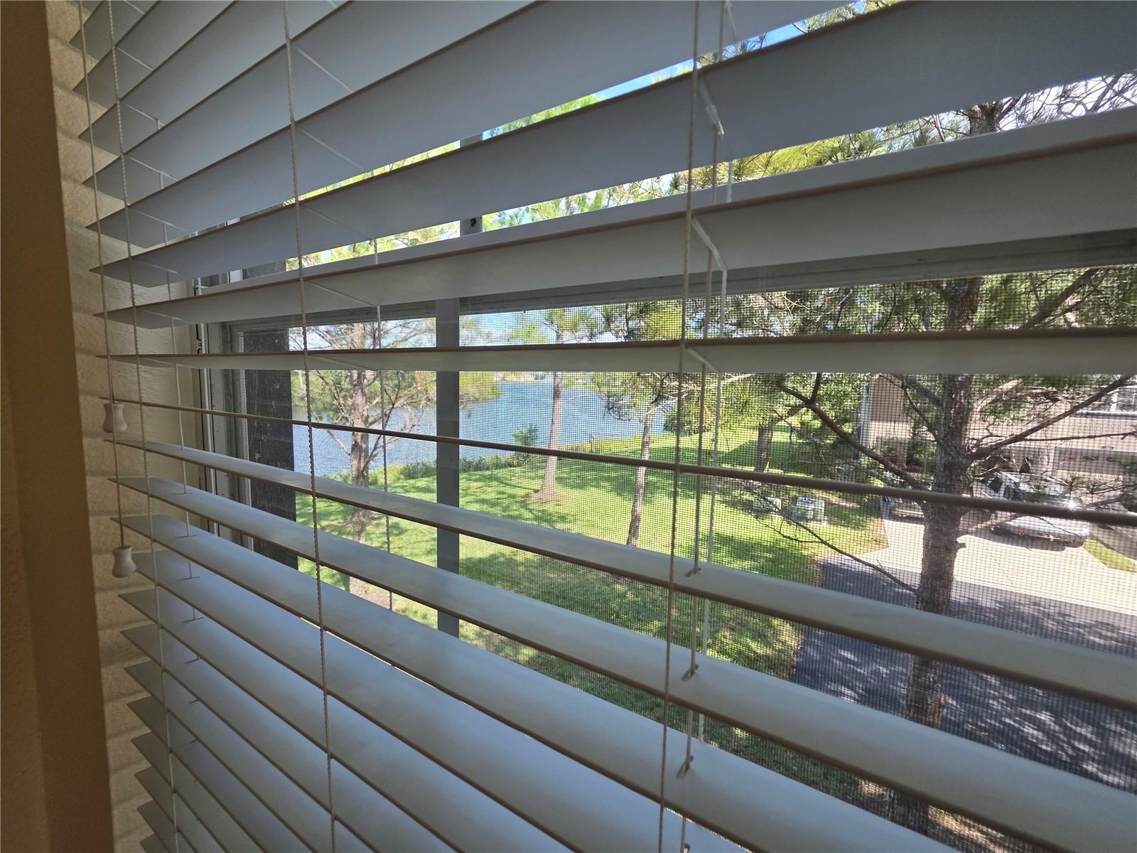 2401 LEXINGTON OAK DR — photo 19