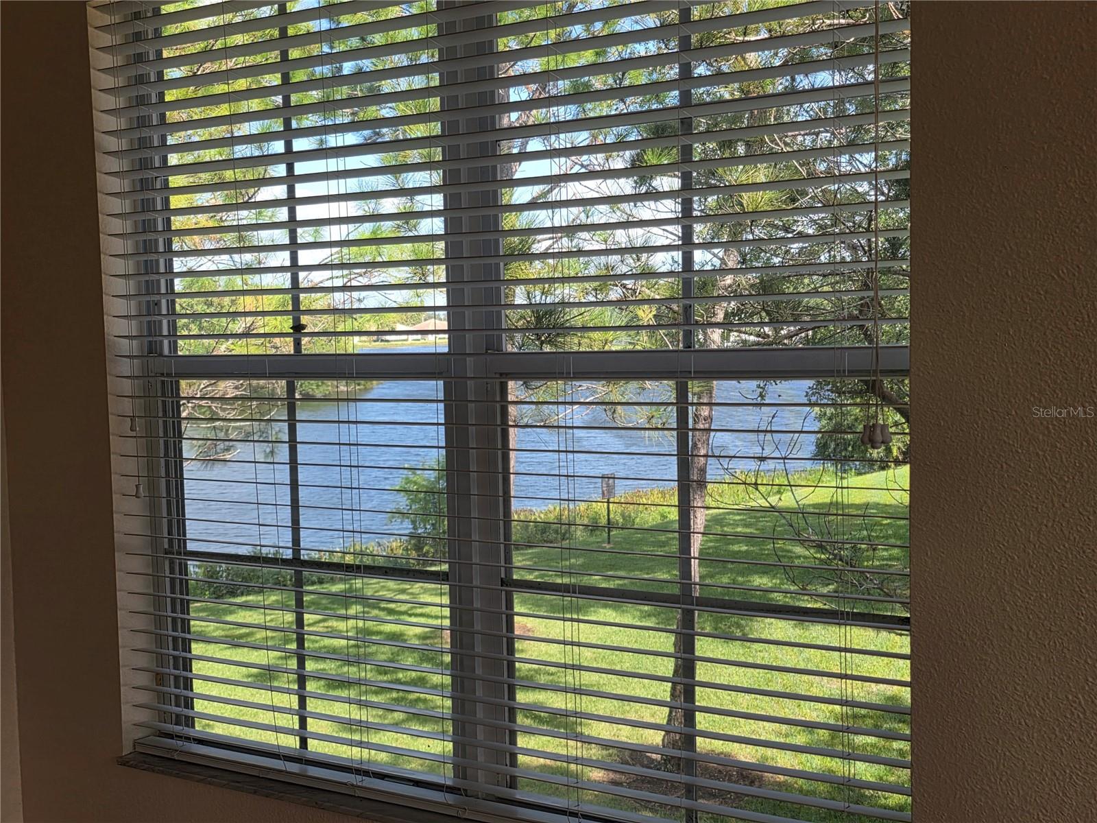 2401 LEXINGTON OAK DR — photo 8