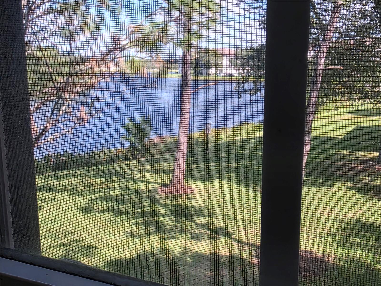 2401 LEXINGTON OAK DR — photo 21