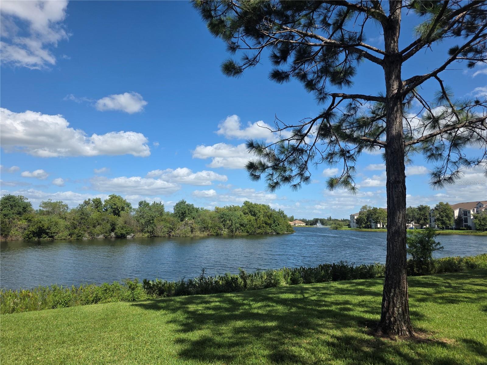 2401 LEXINGTON OAK DR — photo 2