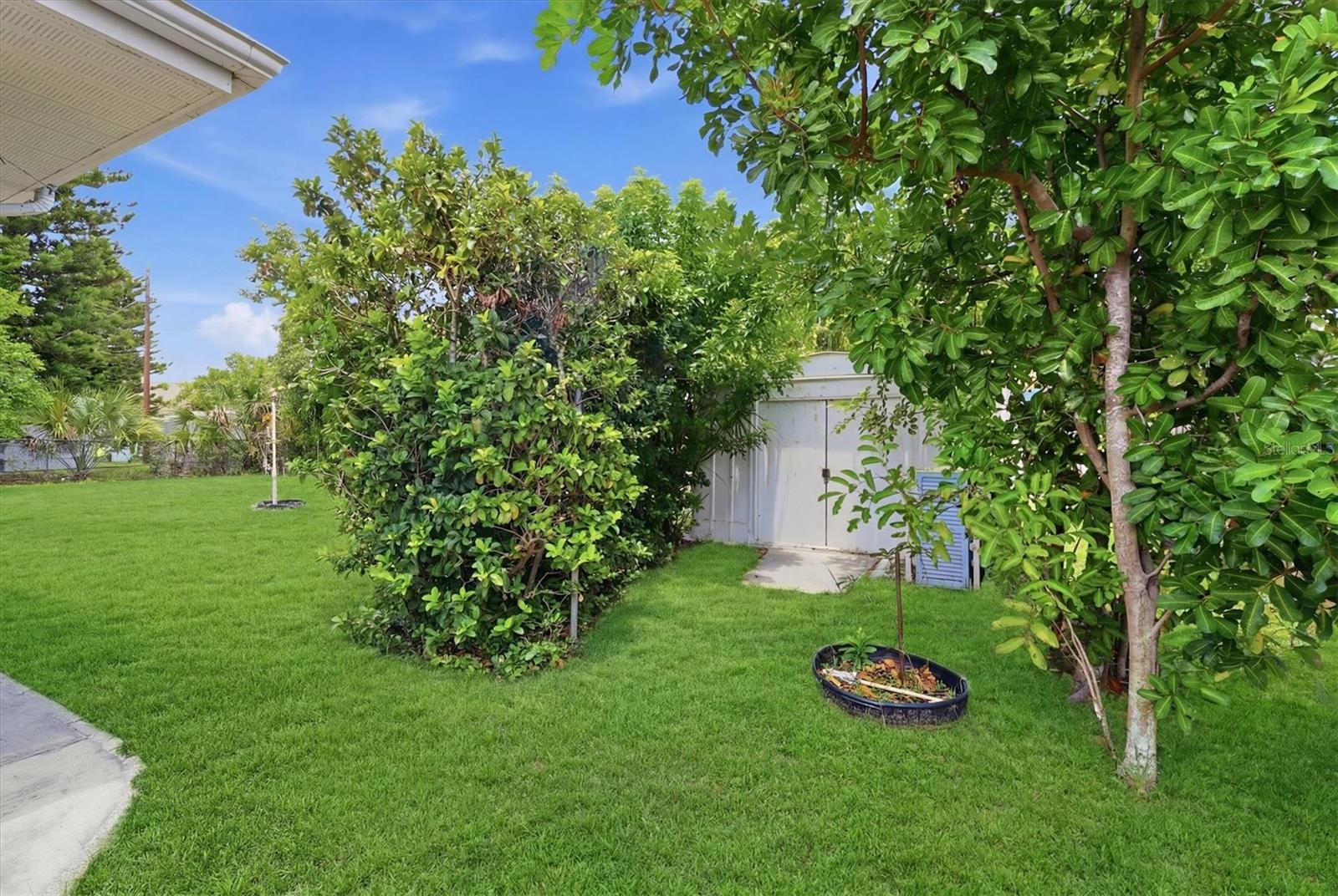 329 SAN BENITO AVE — photo 28