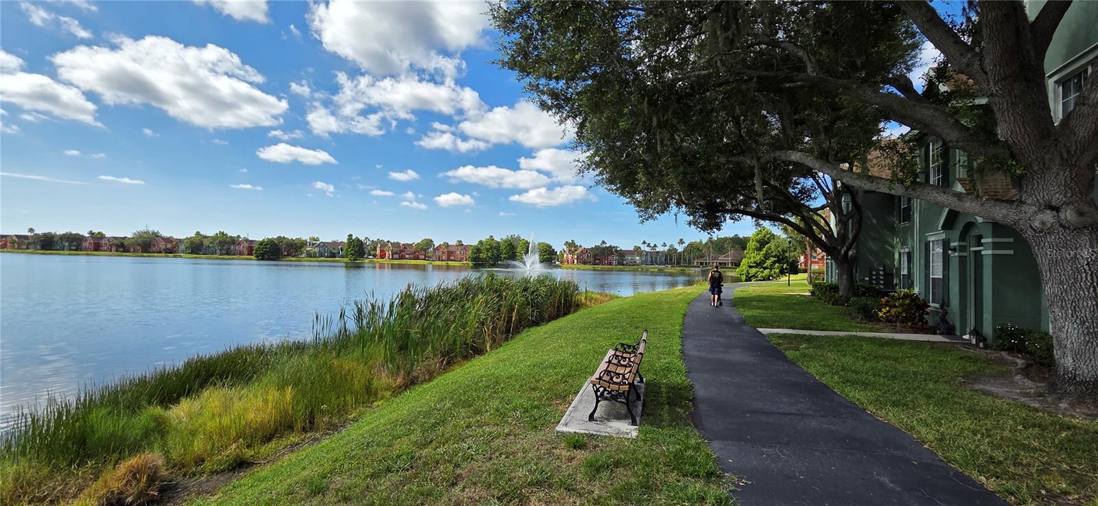 9306 LAKE CHASE ISLAND WAY — photo 8