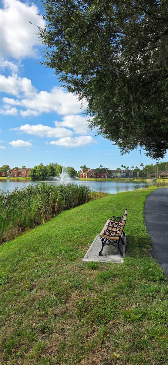 9306 LAKE CHASE ISLAND WAY — photo 6