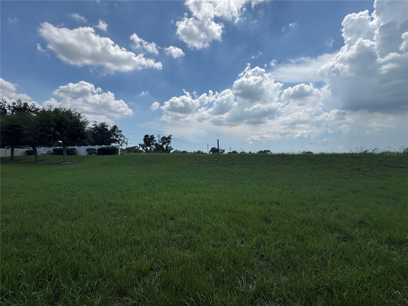 317 DOWN PINE DR — photo 4