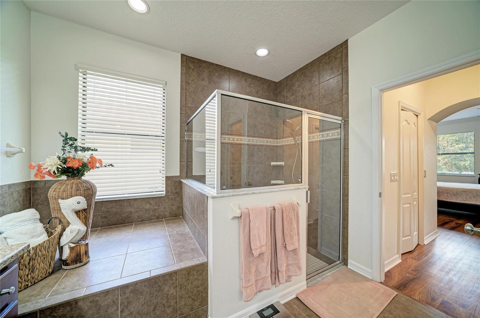 316 STAR SHELL DR — photo 30