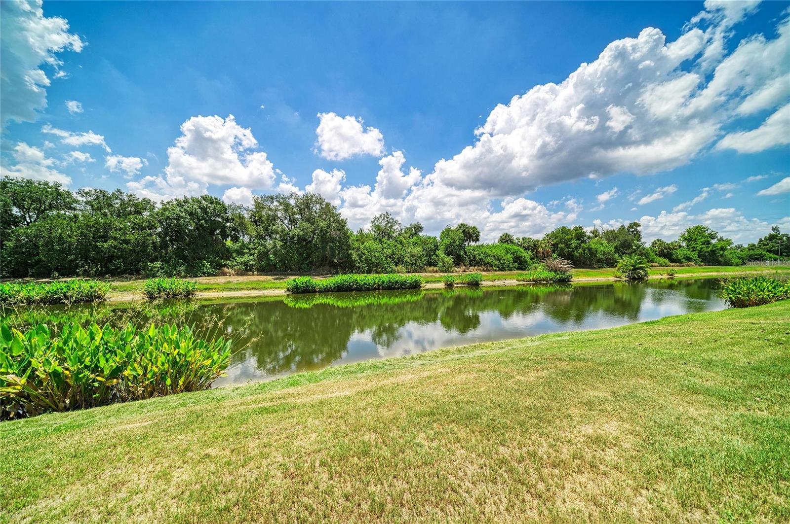 316 STAR SHELL DR — photo 48