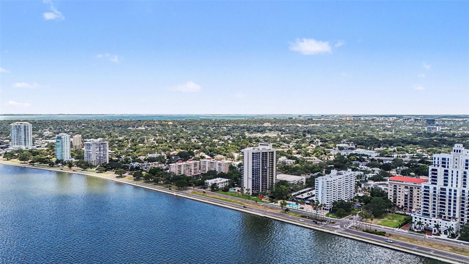 2109 BAYSHORE BLVD #609 — photo 23