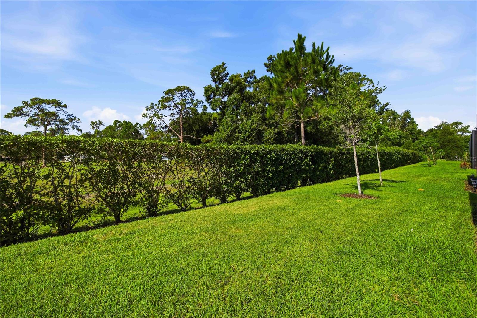 5918 FIORE DR — photo 37