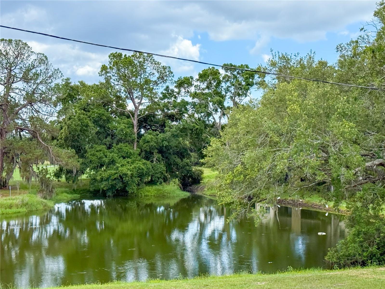 2650 TANGLEWOOD TRL — photo 33