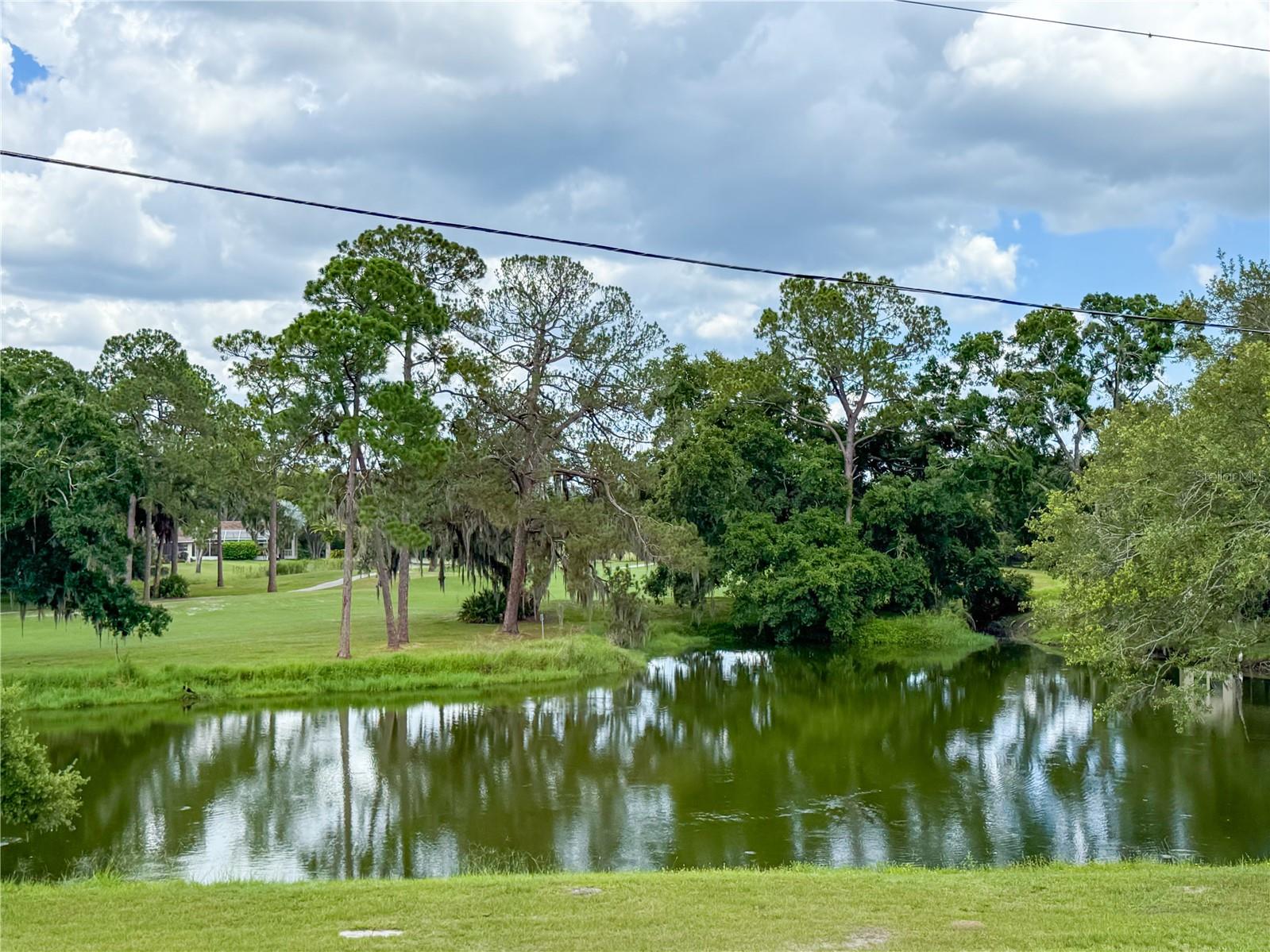 2650 TANGLEWOOD TRL — photo 32
