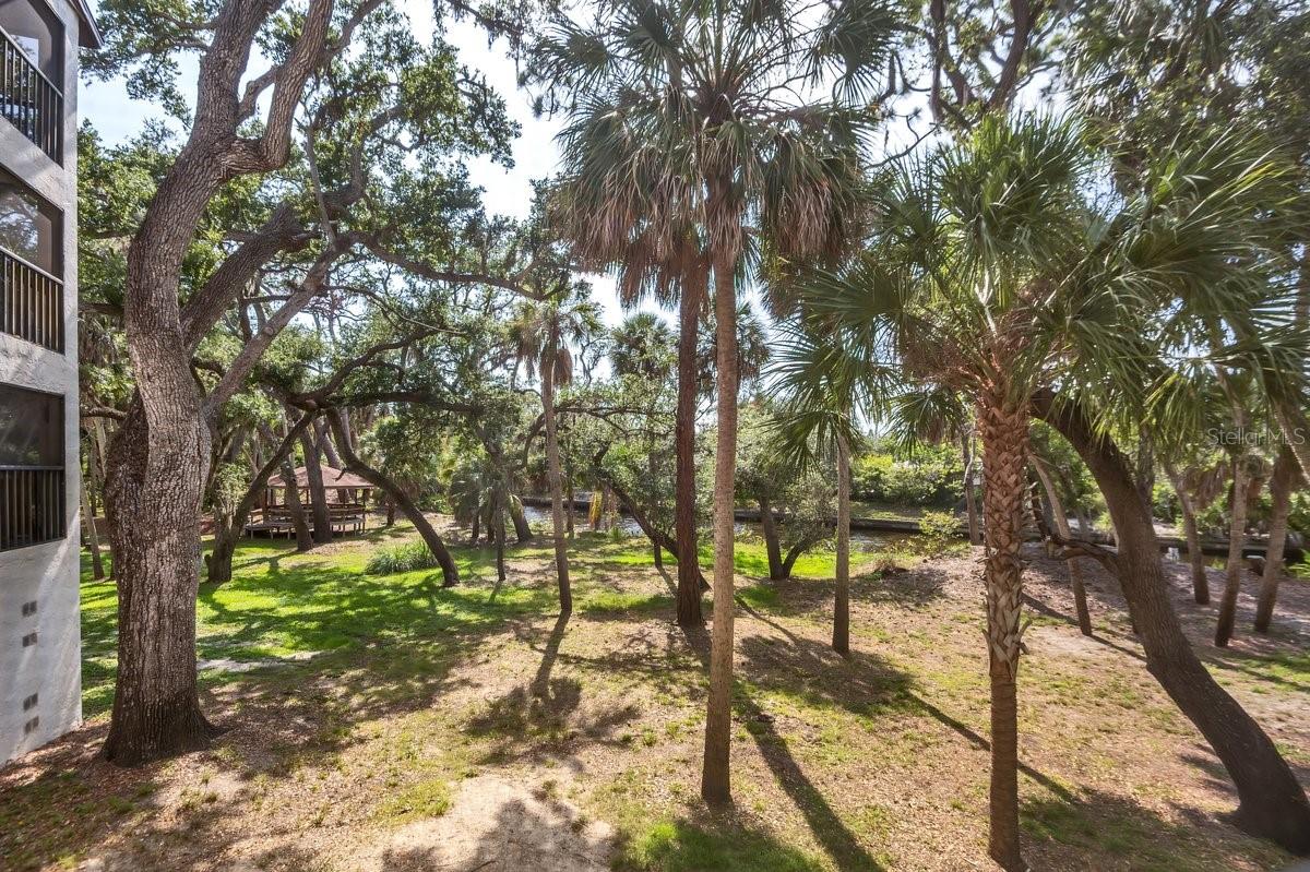 2753 ORCHID OAKS DR #104 — photo 26