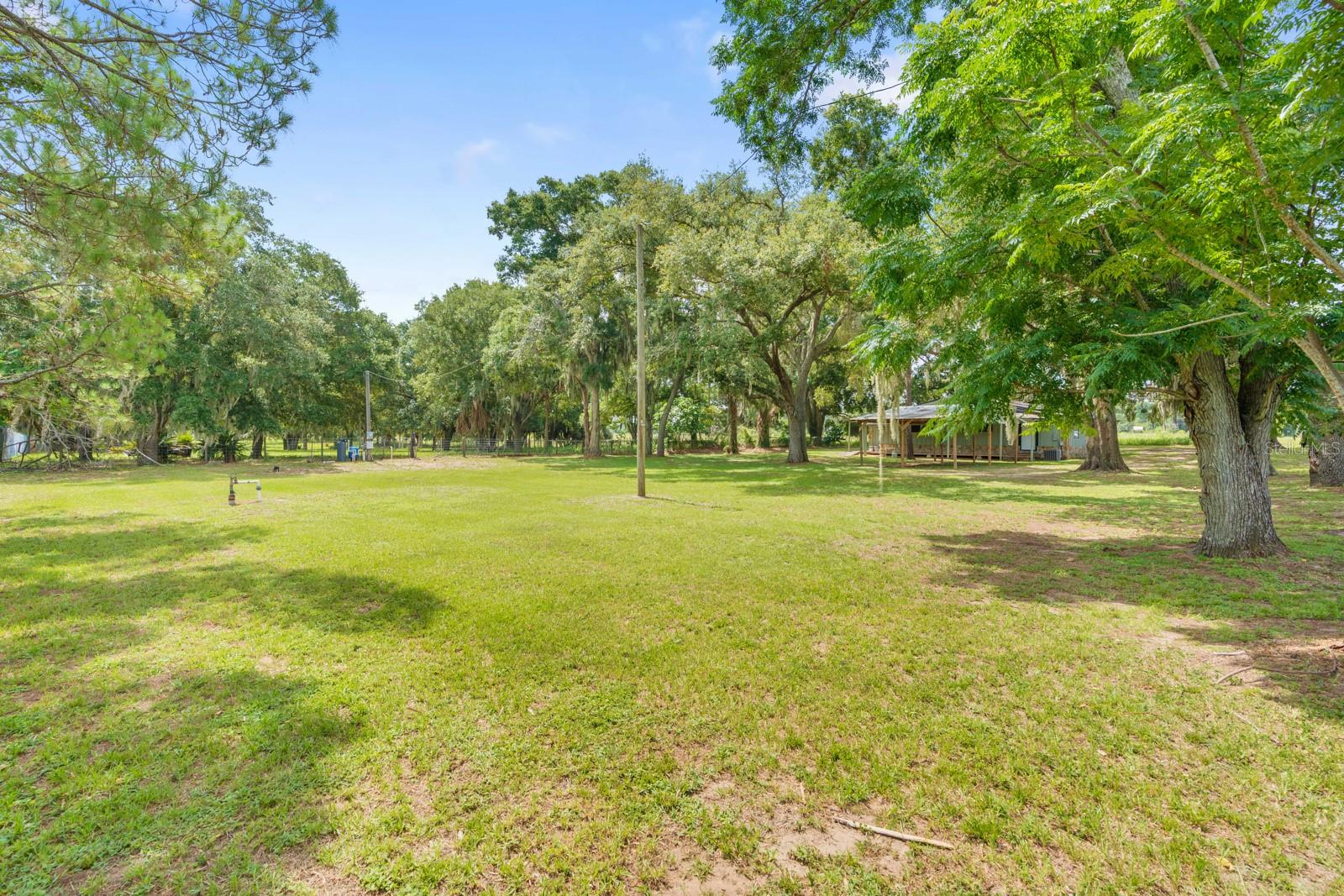 12616 THONOTOSASSA RD — photo 45
