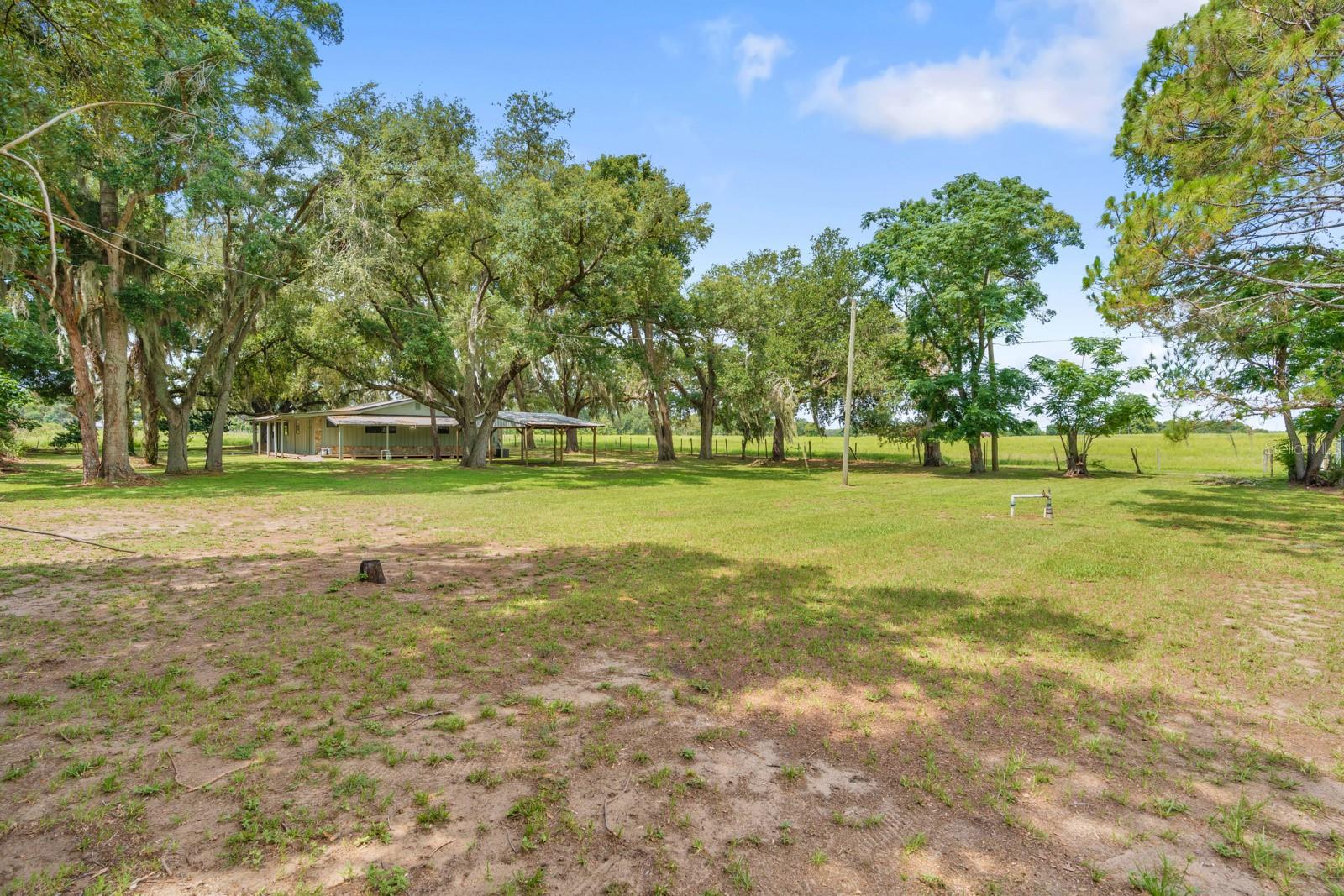 12616 THONOTOSASSA RD — photo 35