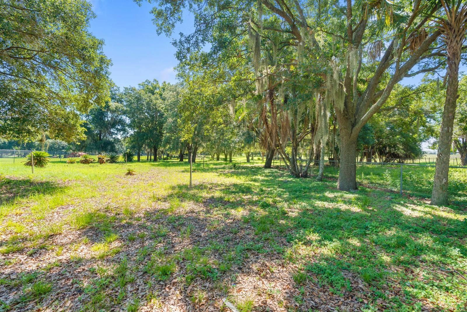 12616 THONOTOSASSA RD — photo 43