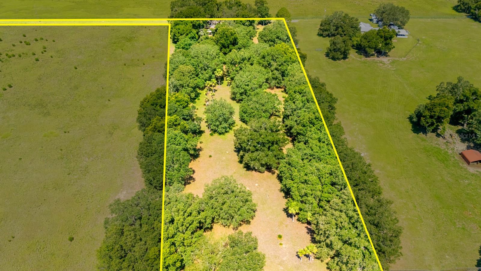 12616 THONOTOSASSA RD — photo 52