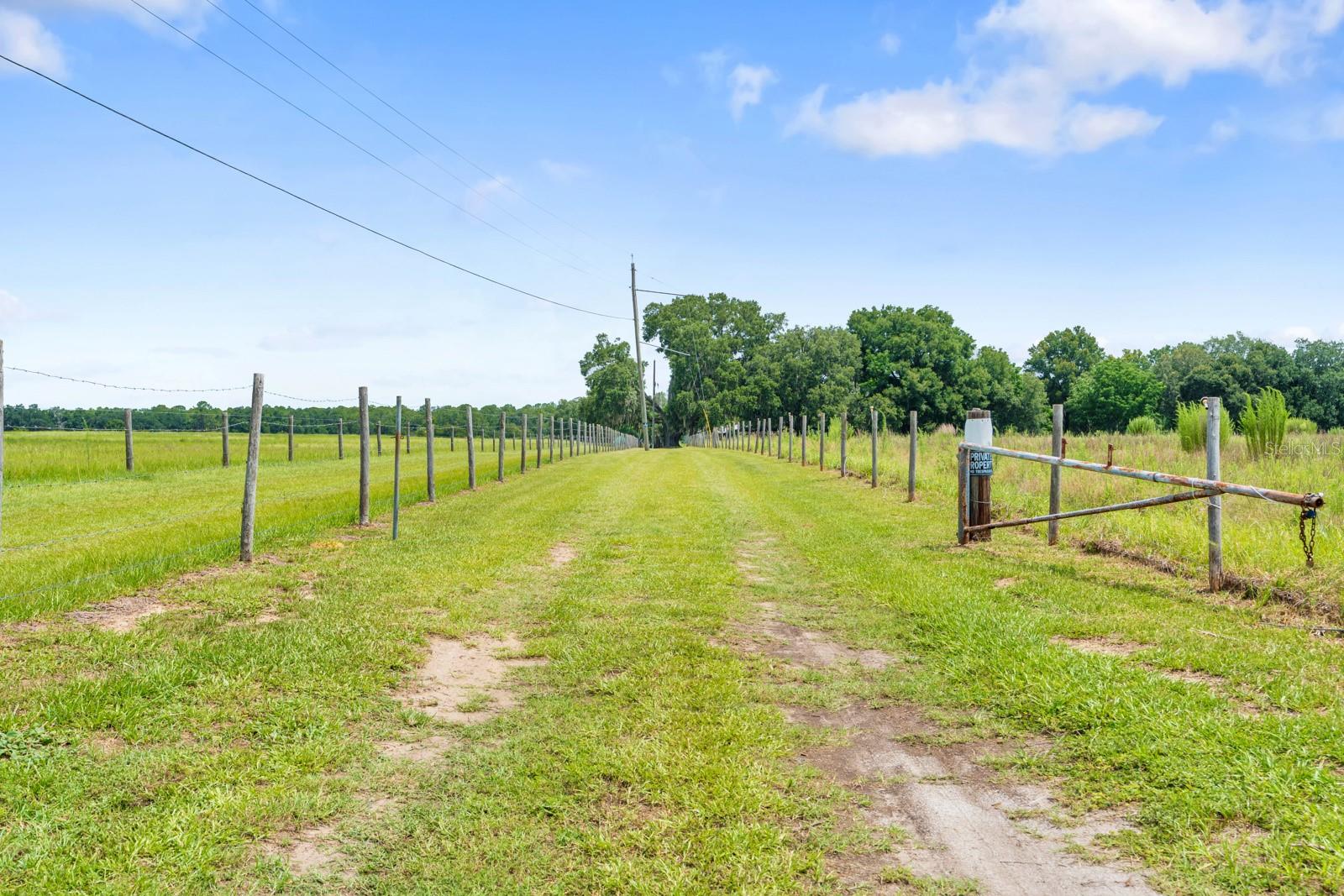 12616 THONOTOSASSA RD — photo 37