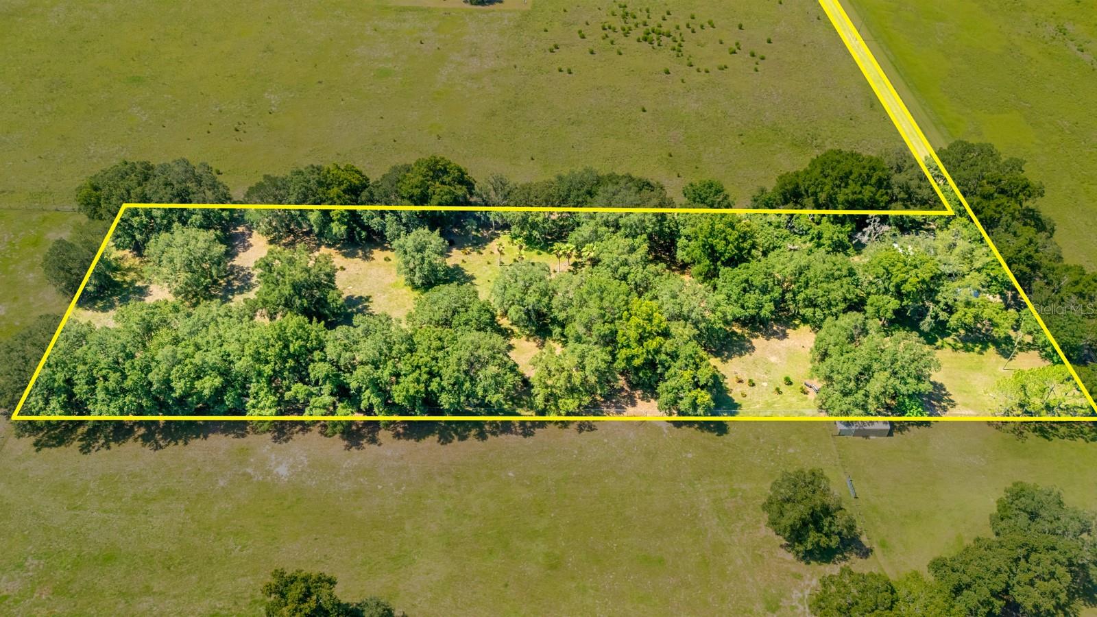 12616 THONOTOSASSA RD — photo 51
