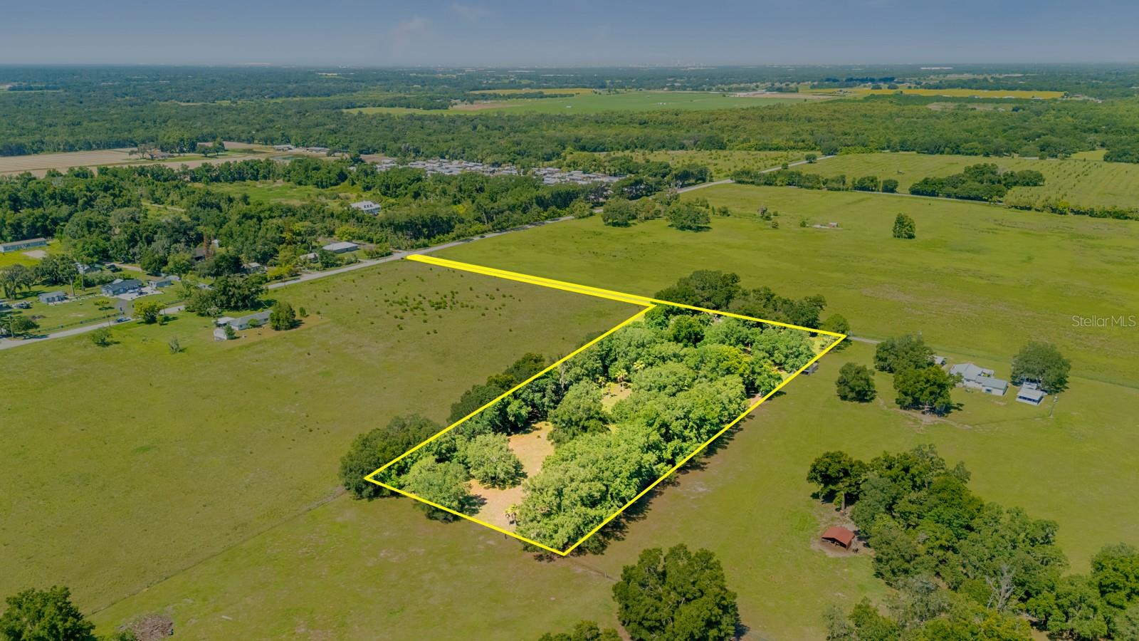 12616 THONOTOSASSA RD — photo 46