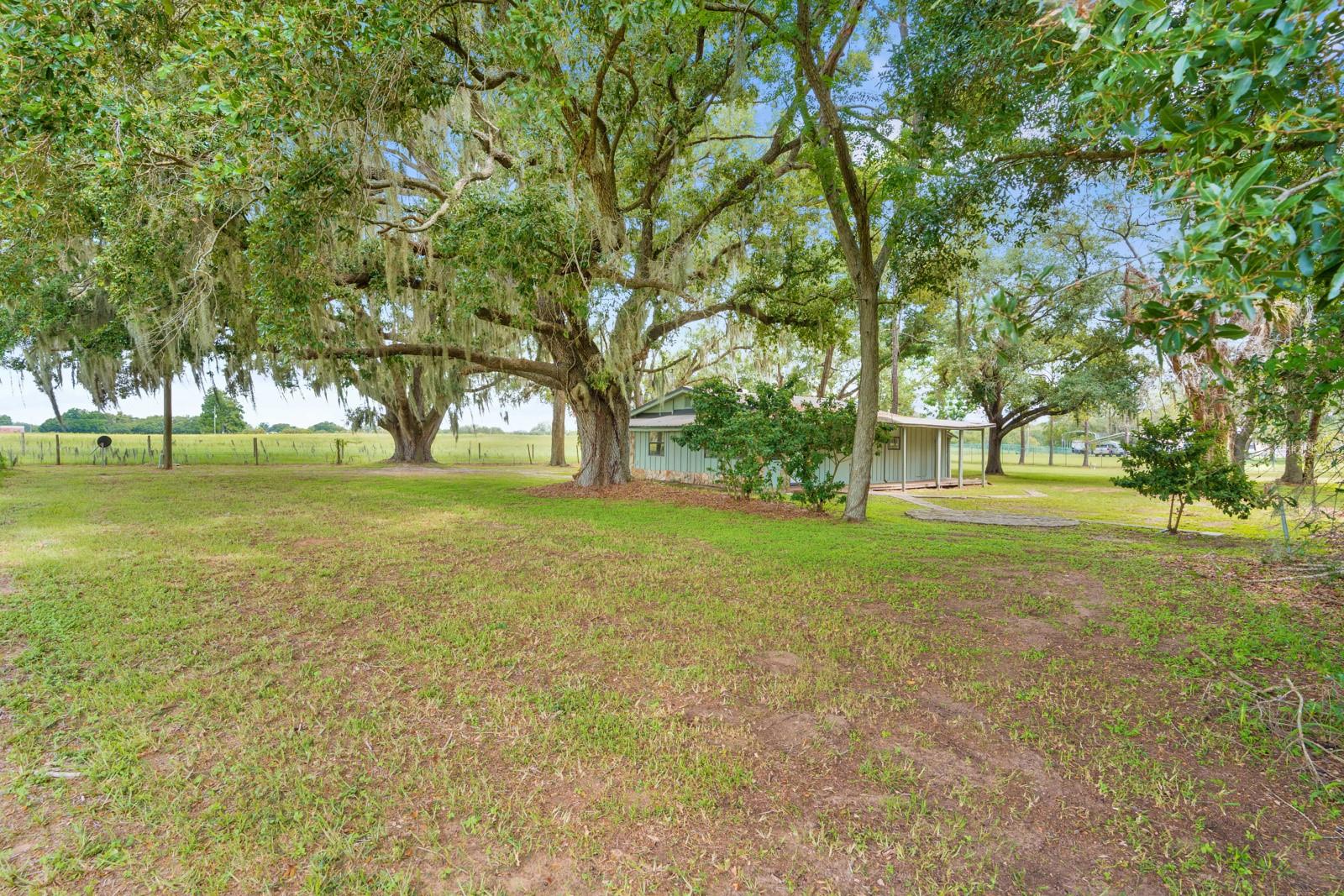 12616 THONOTOSASSA RD — photo 36