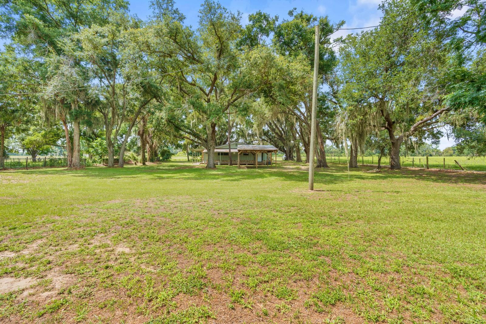 12616 THONOTOSASSA RD — photo 44